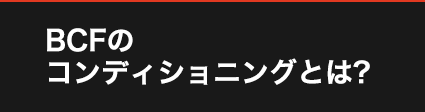 ABOUT CONDITIONING BCFのコンディショニングとは? 